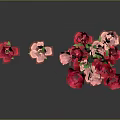 Red and Pink Roses Displayed As Single Stem And Bunch With Green Stems And Leaves