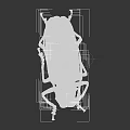 Flying Beetle With Long Antennae And Textured Tan Elytra On Gray Surface 3d model