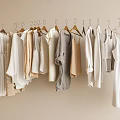 Elegant Minimalist Clothes in Beige White Gray Hanging on Wooden Hangers