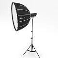 Professional Commercial Studio Photography Lighting Equipment With Light Stands And Softboxes