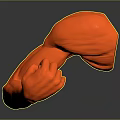 Medical Device Red Muscle Arm Model For Anatomical Education And Rehabilitation