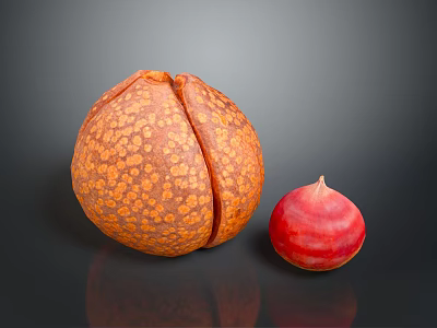 Large Orange Spotted Fruit Cut Open With Small Red Seed On Black Surface 3d model