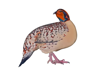 Colorful Reptile With Orange Blue Head And White Brown Spotted Body Standing 3d model
