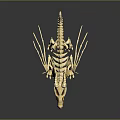 3D Printed Detailed Dragon Skeleton Medical Model For Educational Training Use