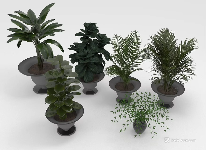 Different Types Of Indoor Houseplants With Varied Leaf Shapes In Decorative Pots For Home Decoration 3d model 