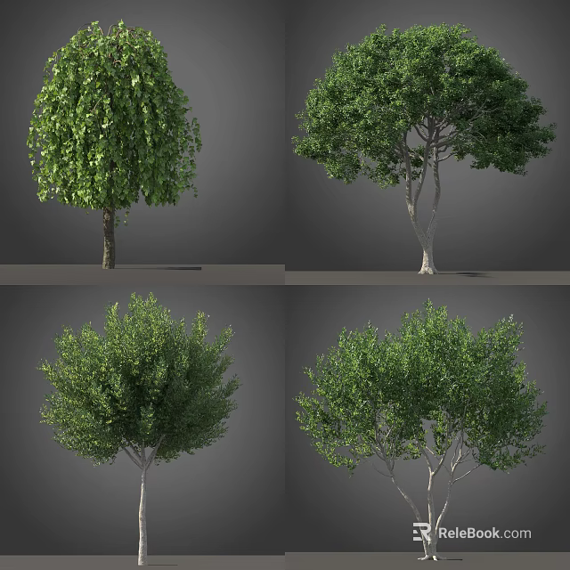 Various Arbor Trees with Lush Green Foliage and Diverse Trunk Structures 3d model