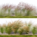 Modern Flowers and Grass Pile Pink Del Grass Needle Amanthus 3d model