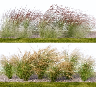 Modern Flowers and Grass Pile Pink Del Grass Needle Amanthus 3d model