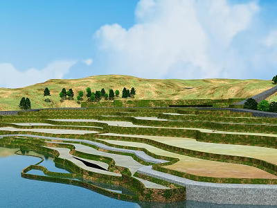 Stunning Terraced Fields Scenery With Water Reflection Green Trees And Distant Hills Under Blue Sky 3d model
