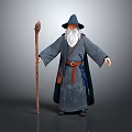 Wizard Character With Long White Beard Pointed Hat Gray Robe And Wooden Staff