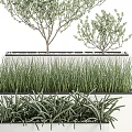 Bonsai Potted Plants With Small Trees Grasses And Succulents In Layered Containers