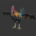 Rooster With Red Comb Golden Black Feathers Spread Wings Yellow Legs On White Background