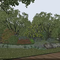 Diverse Garden Shrubs With Red Purple Foliage Yellow Flowers Green Grass Stones And Trees