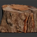 Plant Based Natural Tree Stump With Rustic Wood Texture For Home Decor