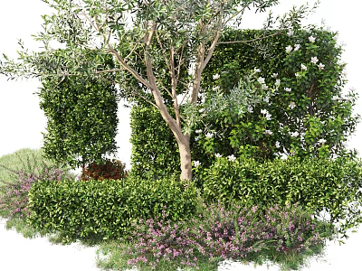 Lush Green Shrubs With White Flowers And Purple Blooms In Garden Landscaping 3d model