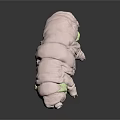 Pink Tardigrade Model With Wrinkled Body And Green Accents On Dark Surface
