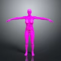Pink Human Anatomy Model With Arms Outstretched Showing Internal Structures For Medical Education