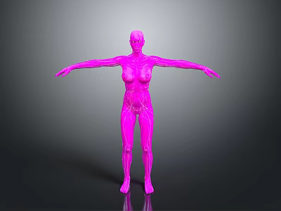 Pink Human Anatomy Model With Arms Outstretched Showing Internal Structures For Medical Education 3d model