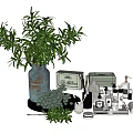 Stylish Bathroom Accessories With Green Plant Vase Soap Dish Hand Soap Bottles And Rolled Towel