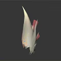 Decorative Wings In Different Colors With Pink White And Blue Eye Design
