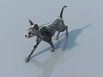 Spotted Reptile Standing On Smooth Surface With Gray Background And Shadow Reflection 3d model