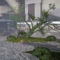 Modern Garden Decor With Curved Trees Trimmed Shrubs Stone Paths Gravel And Mossy Areas