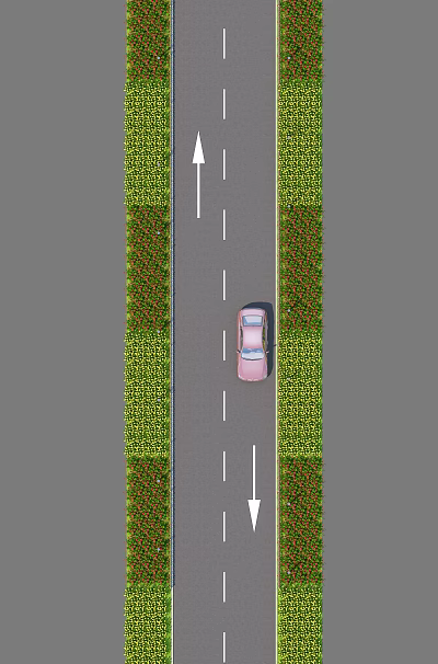 Road Infrastructure With Two Way Traffic Lanes White Markings And Green Dividers 3d model