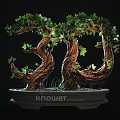 Unique Bonsai Tree With Twisted Trunks Lush Green Leaves In Round Pot Featuring Knower Text