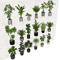 Decorative Bonsai and Potted Plants With Various Leaf Shapes and Ceramic Metal Pots