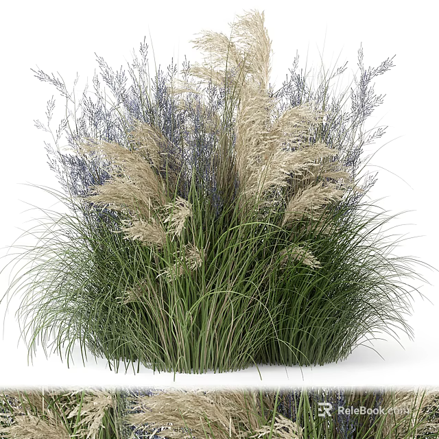 Lush Green Shrub With Dense Foliage And Evergreen Leaves For Garden Landscaping 3d model 