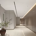 Minimalist Elevator Hallway Interior Design With Wooden Walls Mirror And Potted Plant