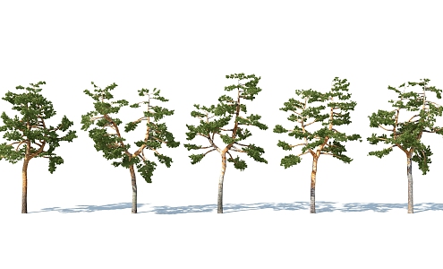 The Modern Tree 3d model