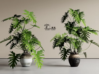 Lush Green Leafy Potted Plants With Different Colored Ceramic Pots For Indoor Decoration 3d model