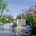 Beautiful Waterfront Landscape With Lush Vegetation Large Stones Flowing Water And Pink Flowers