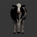 Black and white spotted cow standing on gray background with reflection 3d model