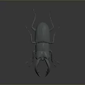 Detailed Stag Beetle 3D Model With Large Mandibles Grayish Blue Color And Dark Background Render