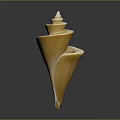 Shiny Yellow Spiral Conch As Marine Animal With Smooth Texture On Dark Background