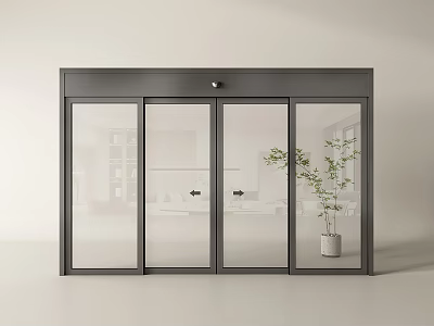 Modern Black Frame Glass Sliding Door In Interior With Potted Plant 3d model