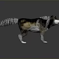 Realistic Standing 3D Animal Model With Fluffy Tail And Textured Fur Design