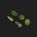 Fresh Green Vegetables Collection Including Zucchini Squash and Avocado on Gray Surface