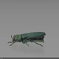 Teal Metallic Beetle With Shiny Exoskeleton And Long Legs On Dark Background
