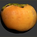 Persimmon fruit 3d model