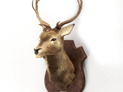 Natural Deer Head Wall Decor With Wooden Plaque For Home Decoration 3d model