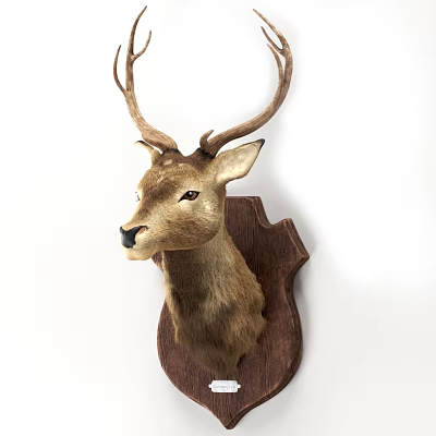 Natural Deer Head Wall Decor With Wooden Plaque For Home Decoration 3d model