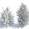 Green Leafy Shrub and Purple Lush Shrub with Natural Shadows on Clean White Background