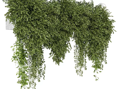 Green Hanging Garden Plants With Lush Trailing Vines And Foliage Decor 3d model