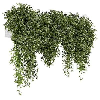 Green Hanging Garden Plants With Lush Trailing Vines And Foliage Decor 3d model