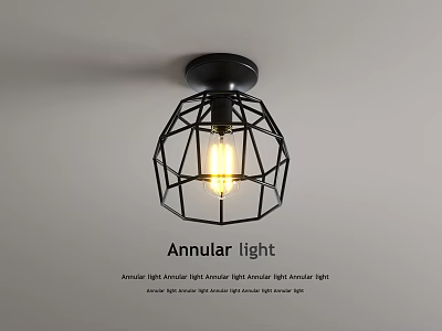 Modern Elegant Artistic Ceiling Light With Annular Metal Frame And Warm Glow 3d model
