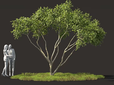 Lush Shrub Surrounded by Green Grass with Two Human Figures Nearby 3d model