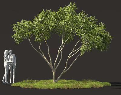 Lush Shrub Surrounded by Green Grass with Two Human Figures Nearby 3d model